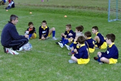 Cuccioli (2007-2008)